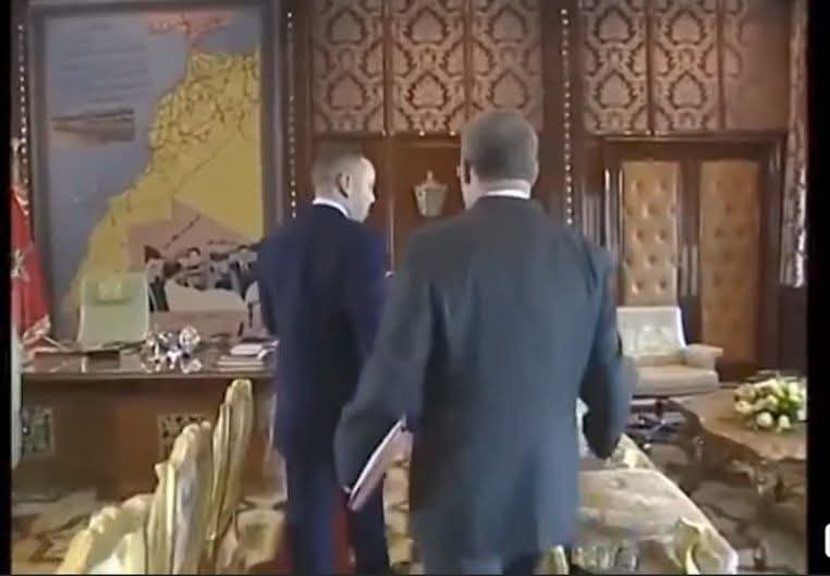 Amchiche 🐱 tweet media