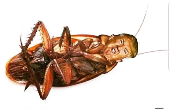 𝕊 𝕂 (𝕊𝕦𝕟𝕟𝕪) 𝔻𝕚𝕥𝕥𝕒 tweet media