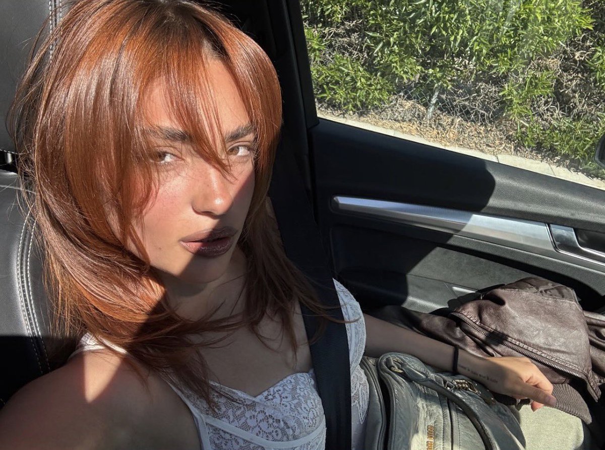 vissi d'violeta tweet media