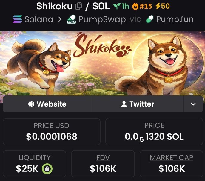 SolanaPrincess tweet media