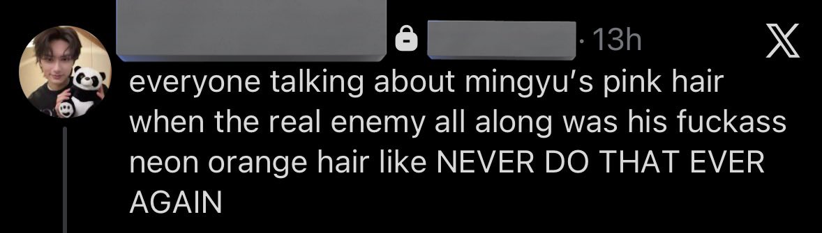 ham 🫧 tweet media