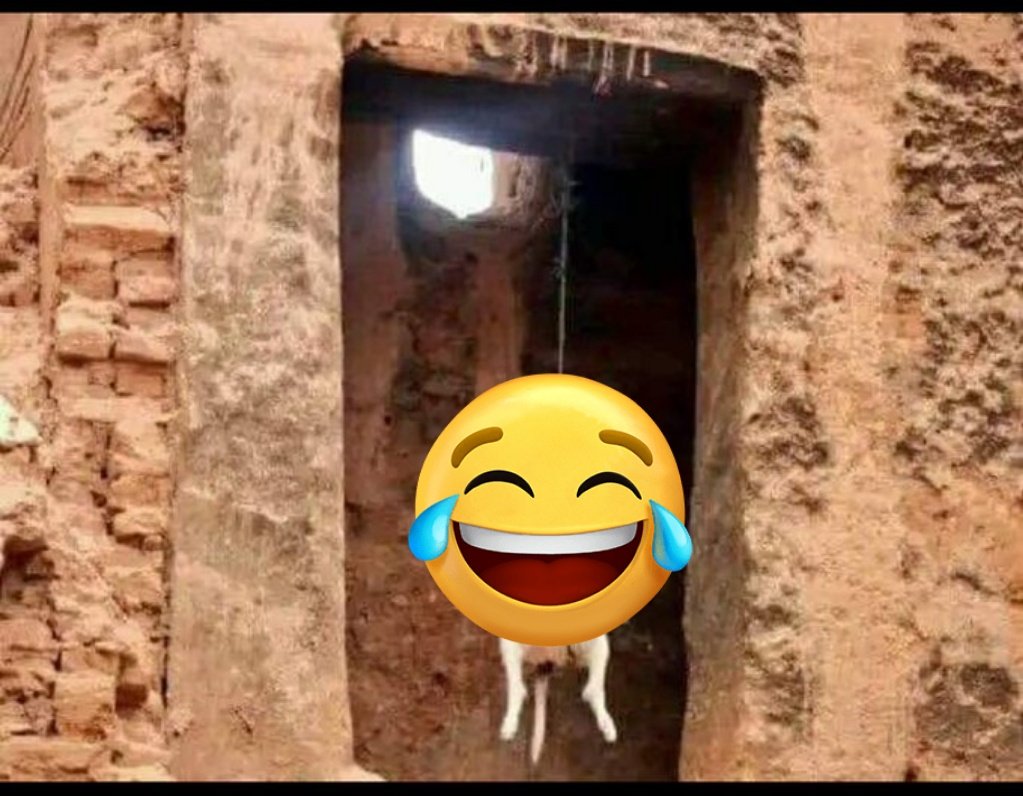 scorpio♏#DJ 🧓🏻 tweet media