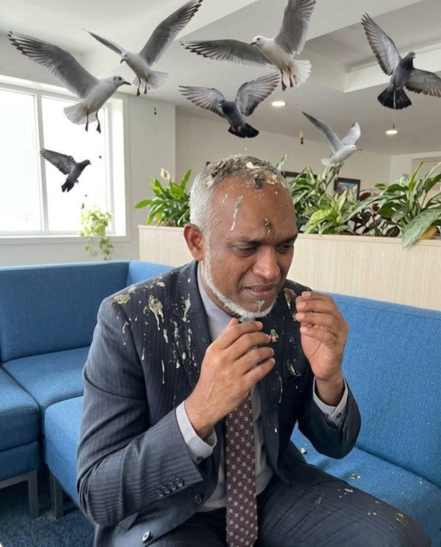 Mohamed Maleeh Jamal tweet media