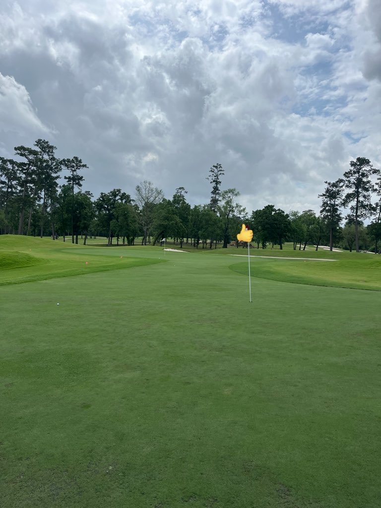 Hungjae Im tweet media