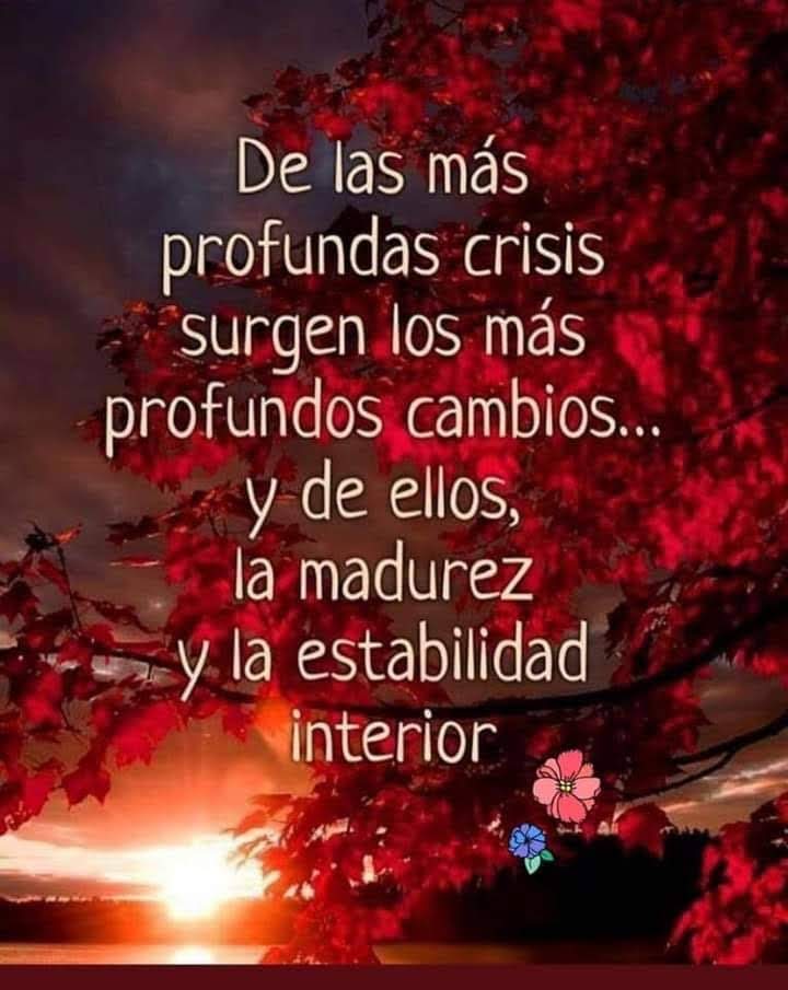 Escuela de Vida tweet media