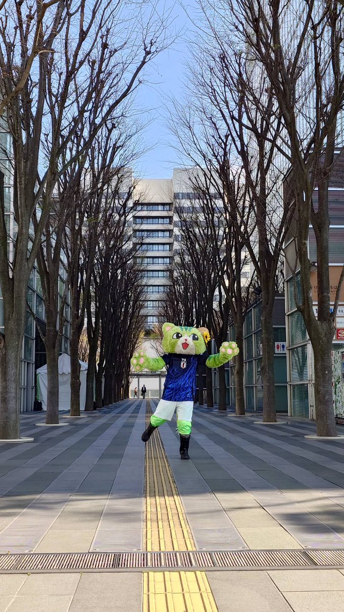 のらねこくん tweet media