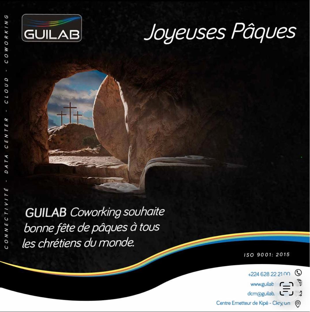 GUILAB S.A tweet media