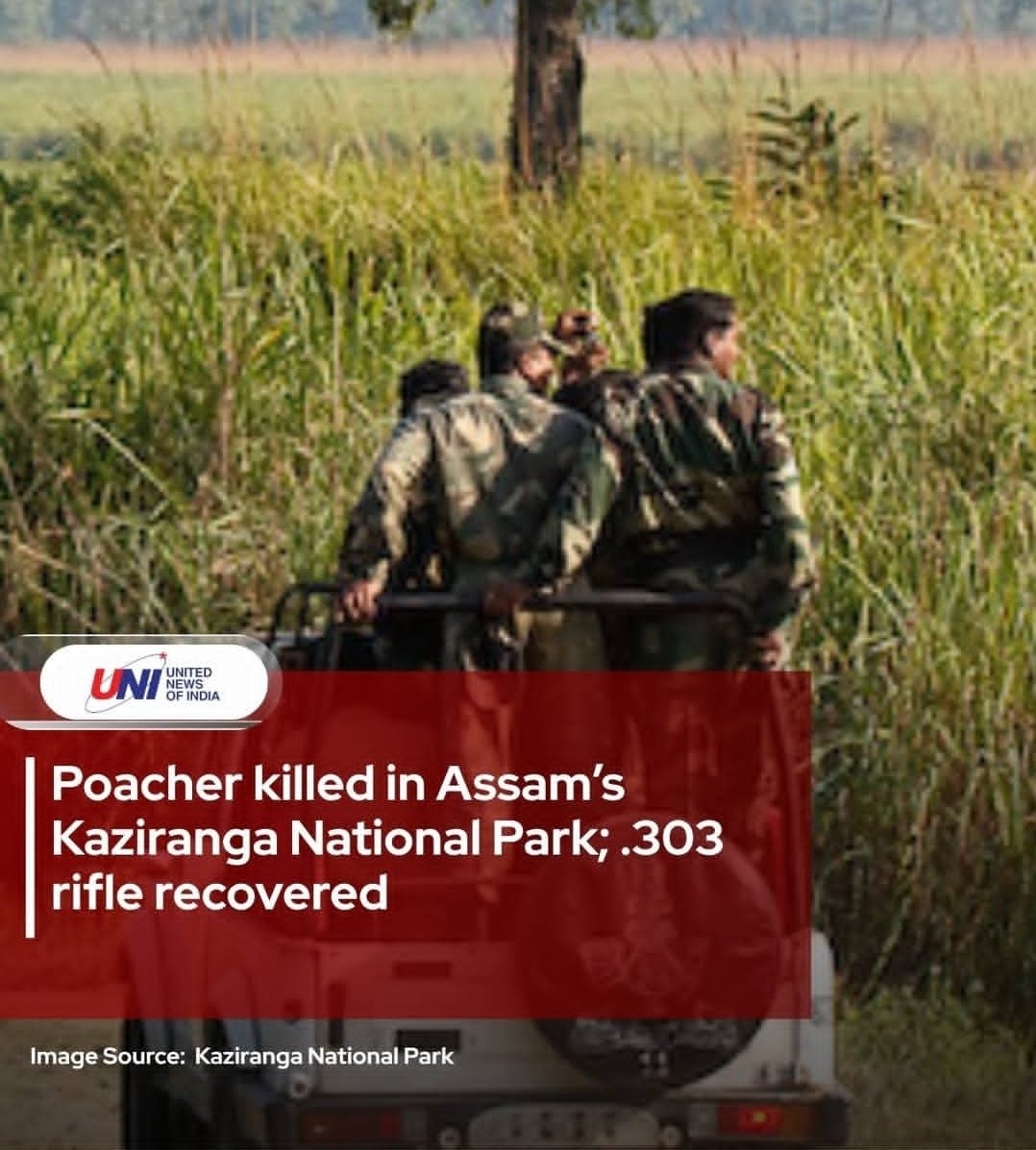 Incognito tweet media