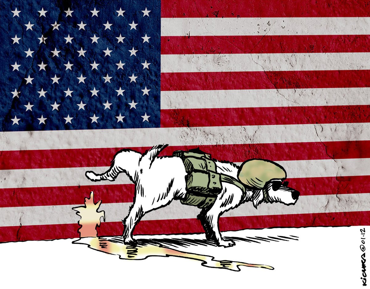 mouaad31🇵🇸☪️⚔️ tweet media