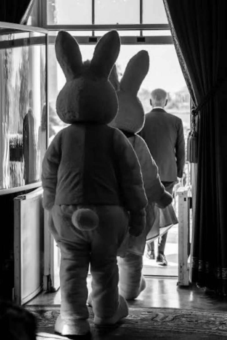 sick of bs 🪷 tweet media