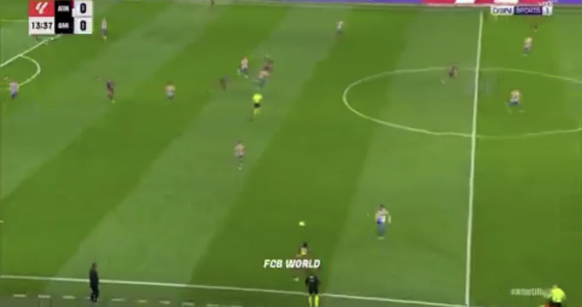 haschwalth tweet media