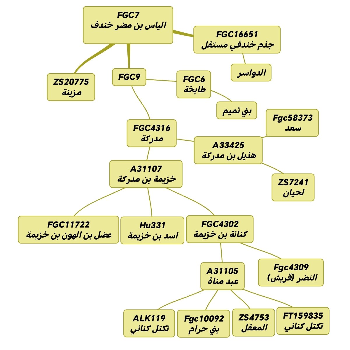 شجرة الجينية بني الياس بن مضر خندف 🫡👑
#fgc7 #خندف