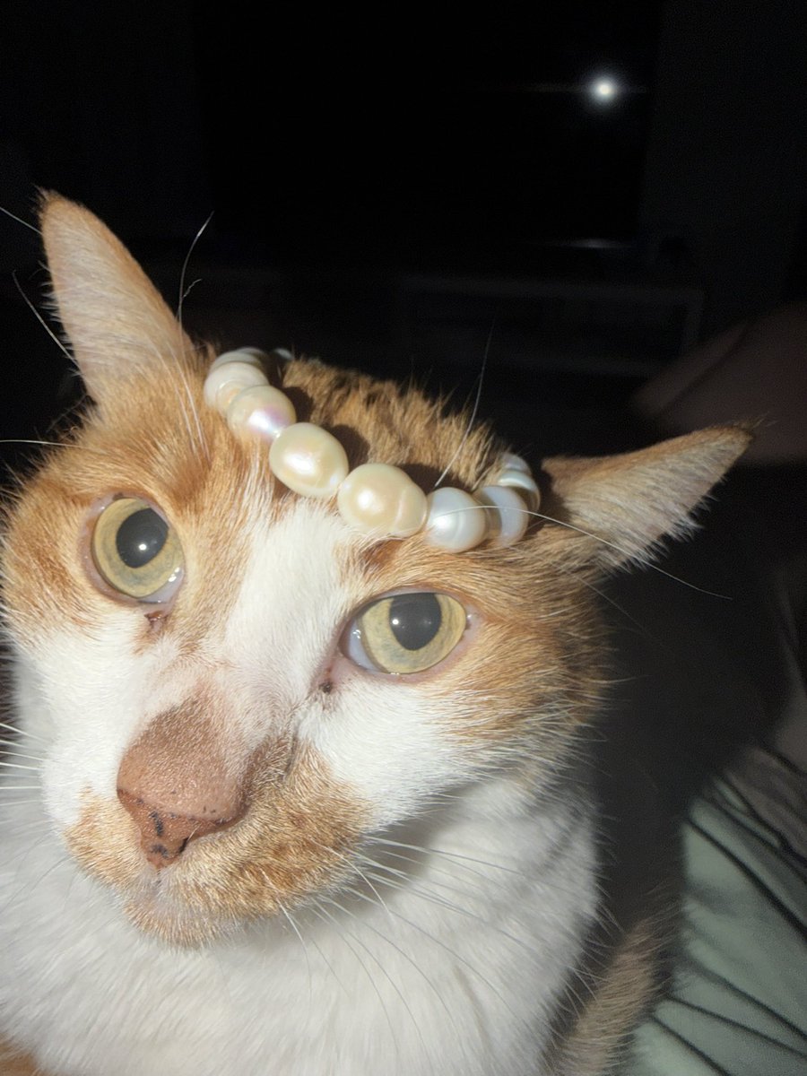 насця tweet media