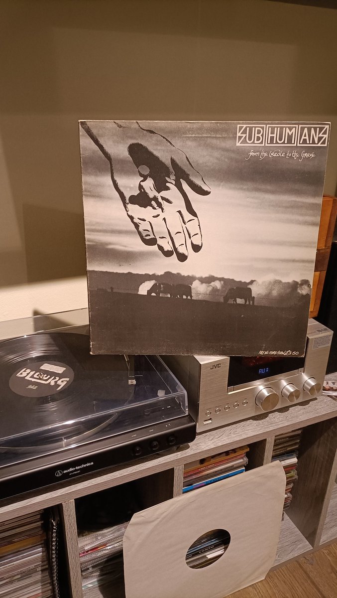 russ 💙 tweet media