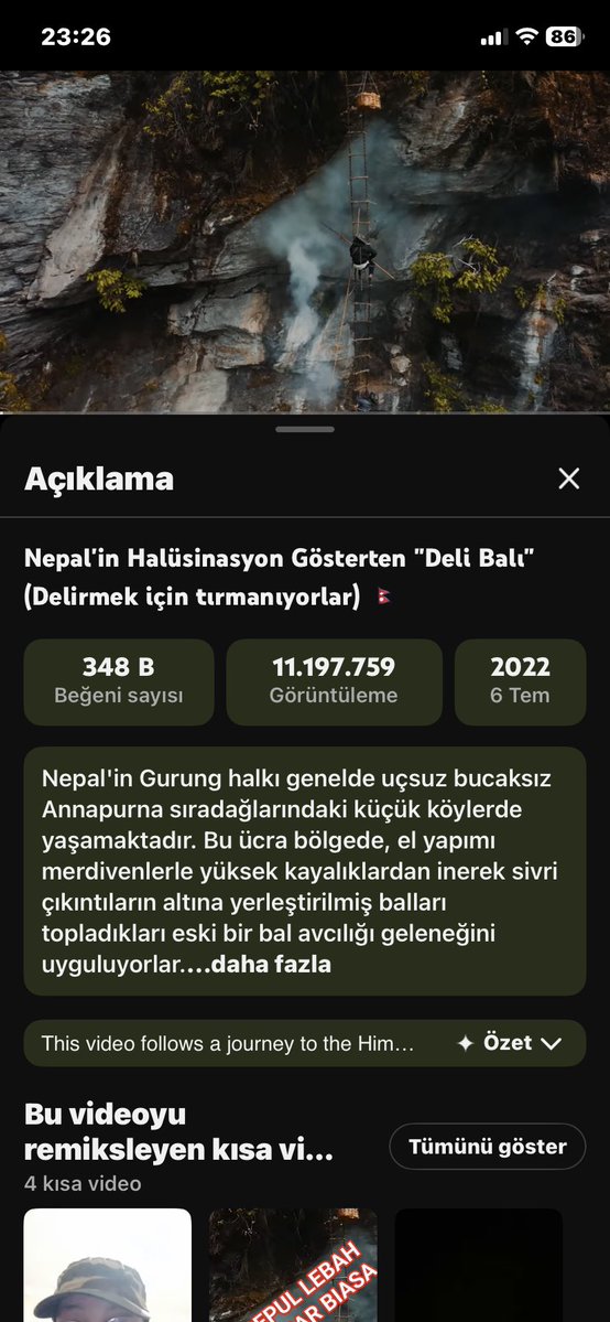 et tu brute tweet media