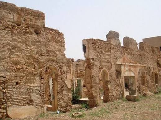 Salima ⭐⭐ tweet media