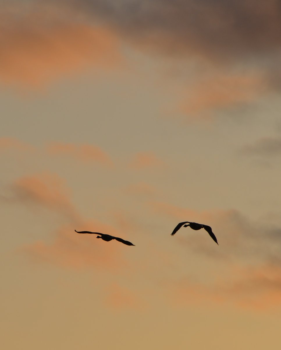 Pete Vander Meulen tweet media