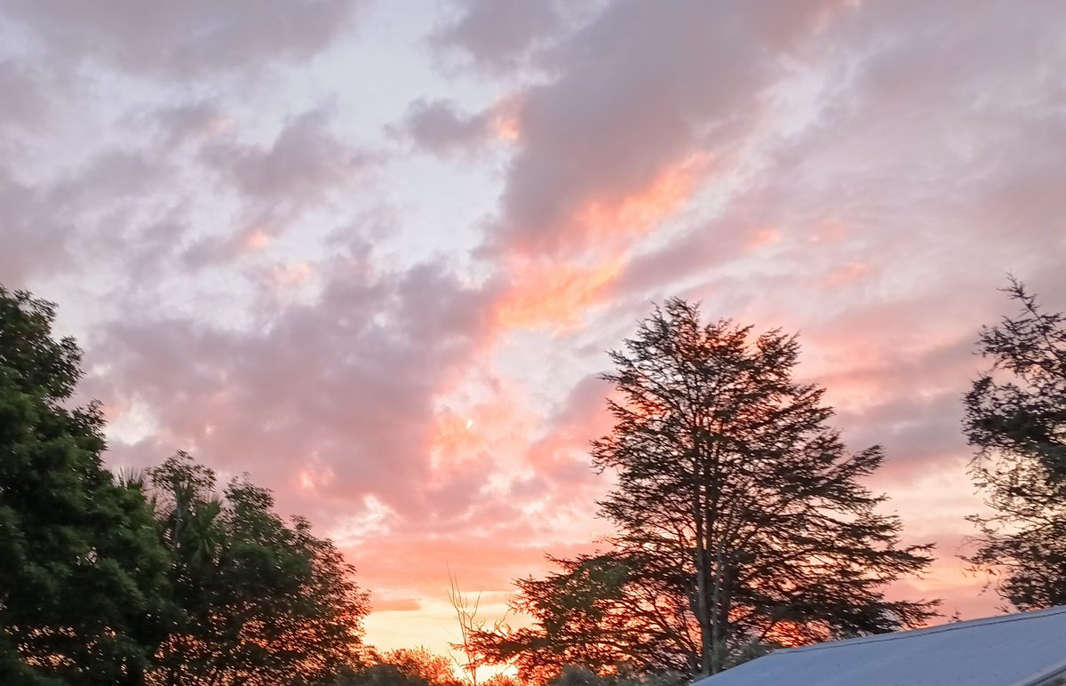 Diane Raiani🐦 tweet media