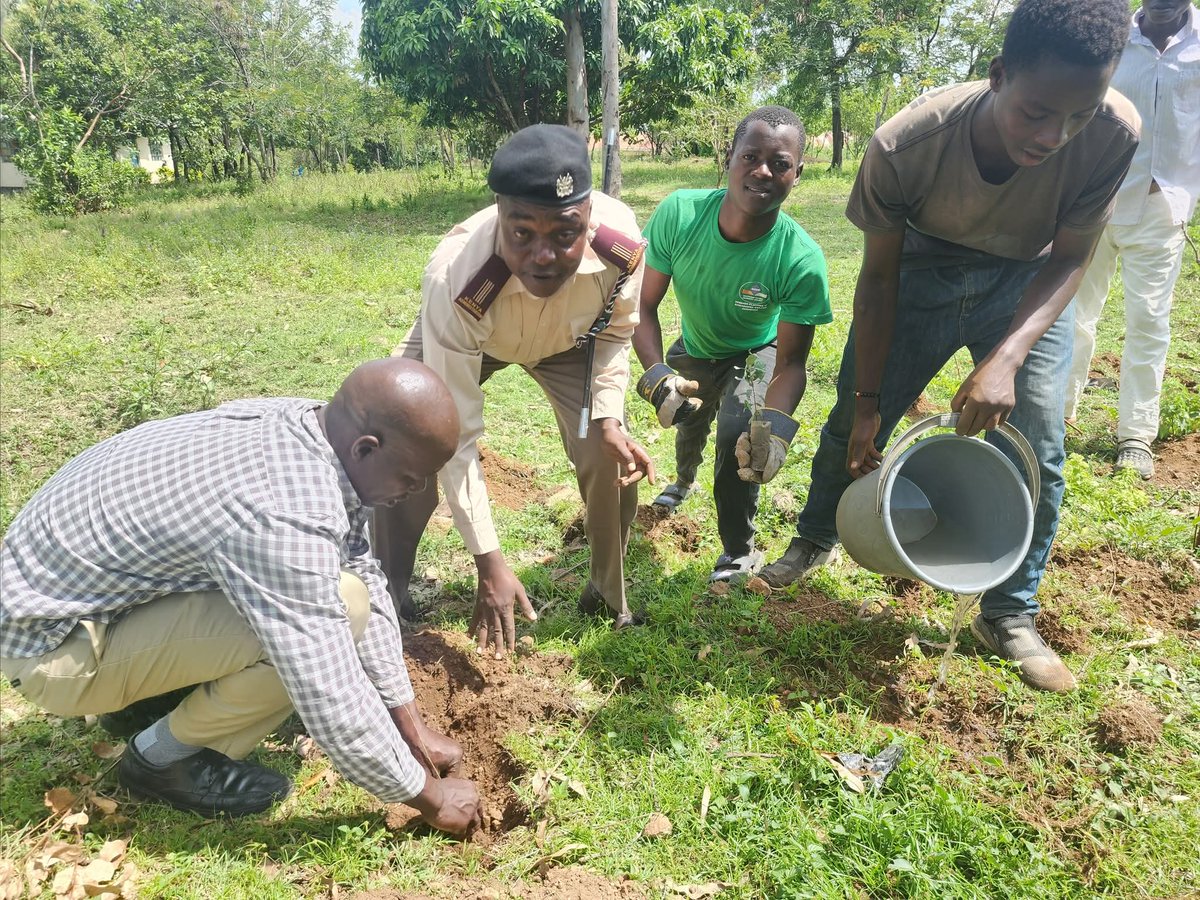 Kawagumba Village Project &Blockchain learning. tweet media
