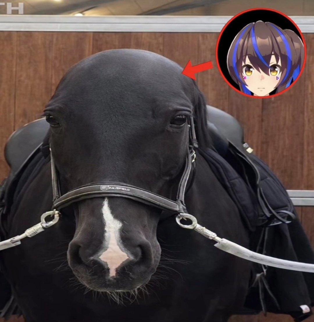 Apolo (@apolobattle) on Twitter photo 