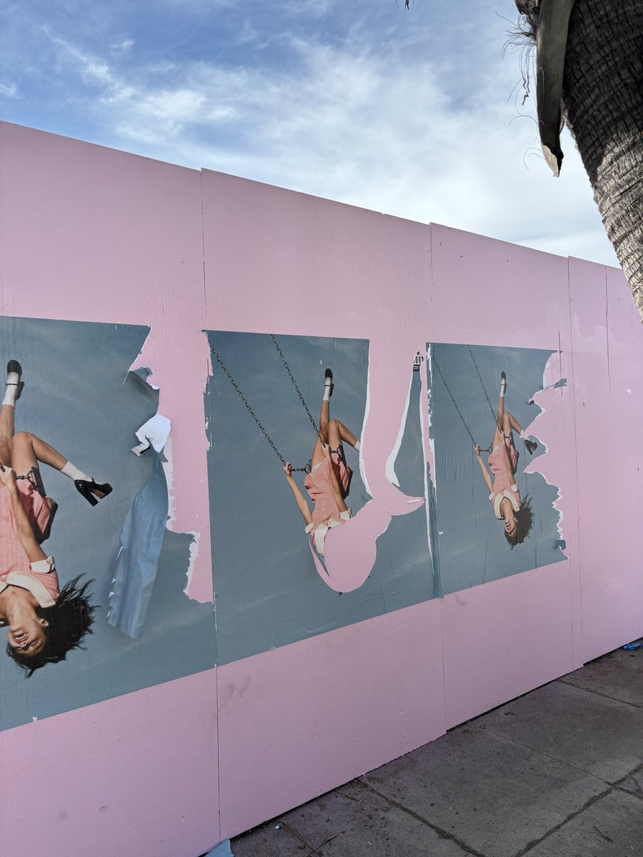 Yuri🦖🍟 tweet media