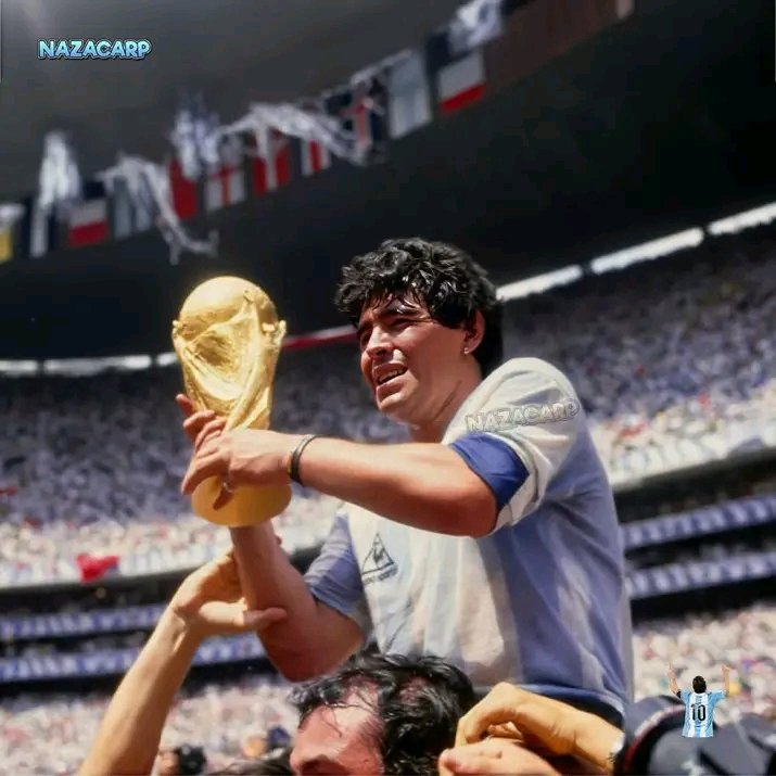 ariel mario castro tweet media