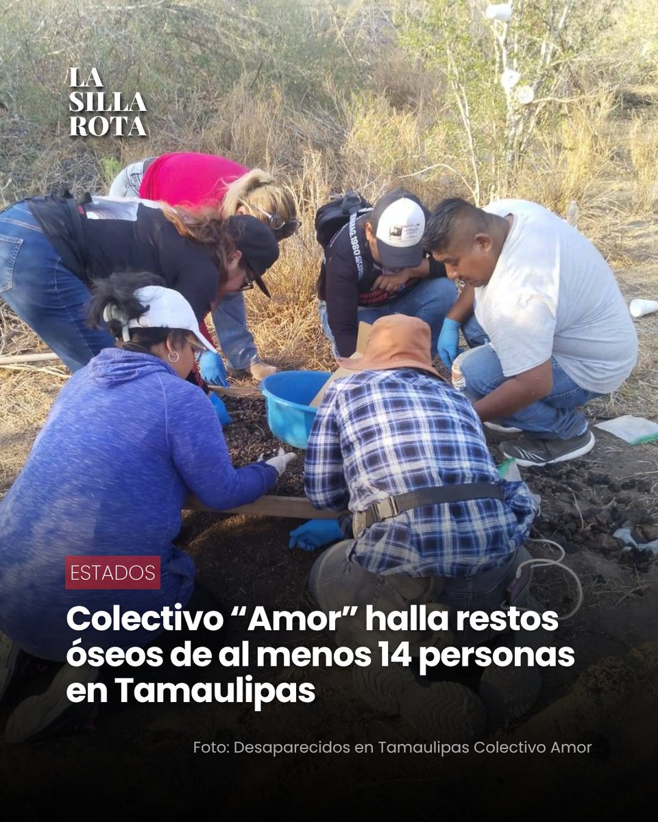 La Silla Rota tweet media