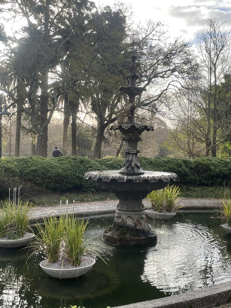 Mimiii ⁷ 🪭 (⊙⊝⊜ ver.) tweet media