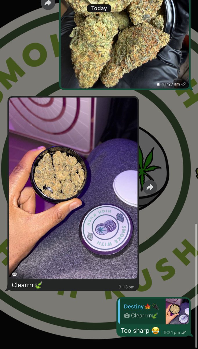 HIGHEST IN THE ROOM tweet media