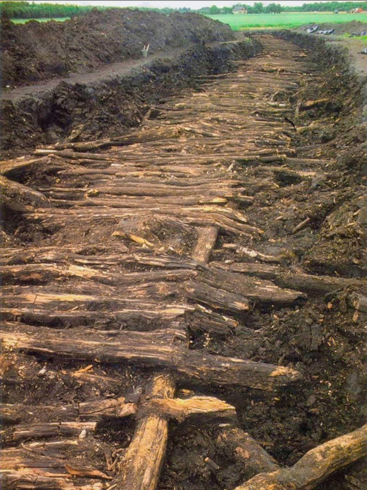 Architecture Hub tweet media