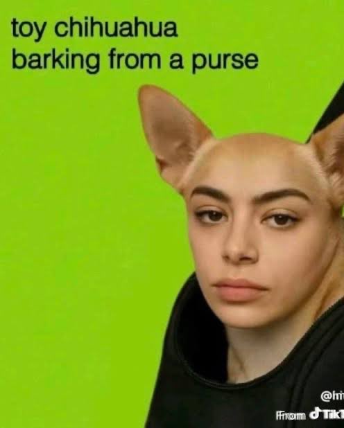 taydefender tweet media