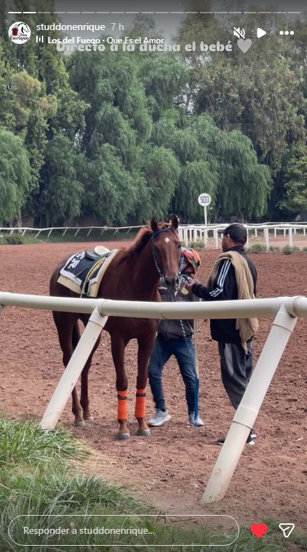 Oguro Star Blossom tweet media