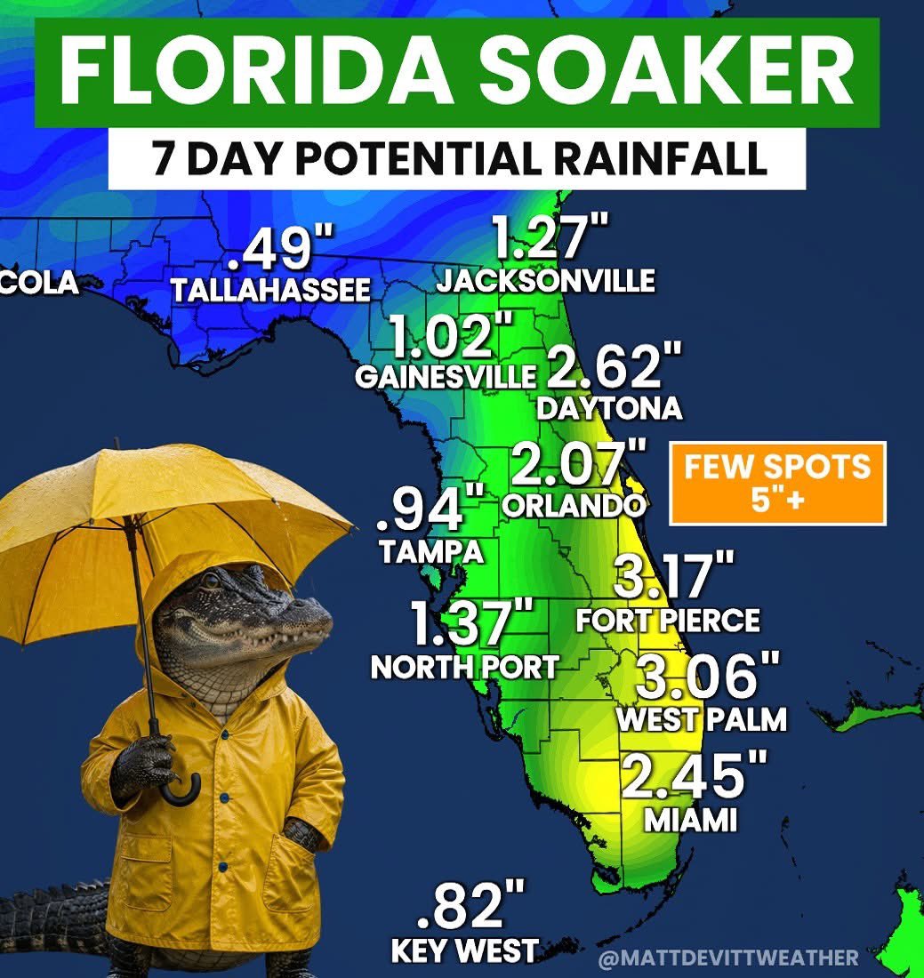 Matt Devitt tweet media