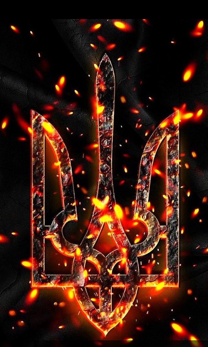 Laura 🇨🇦🌻 tweet media