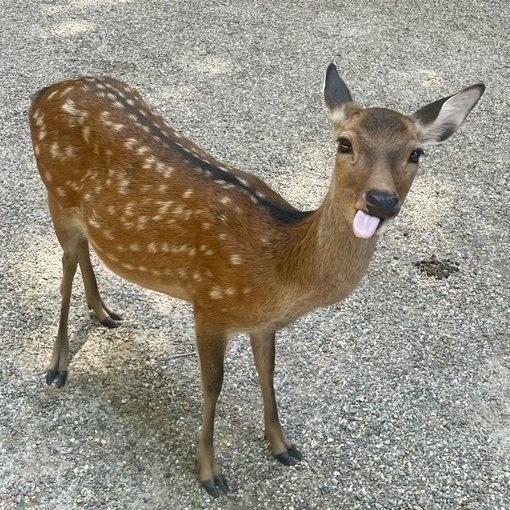 🌈🛖 tweet media