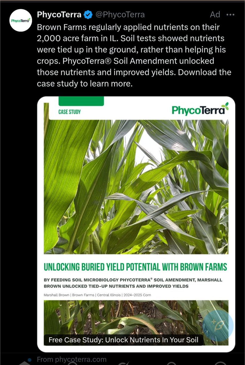 Bluephosphorus tweet media