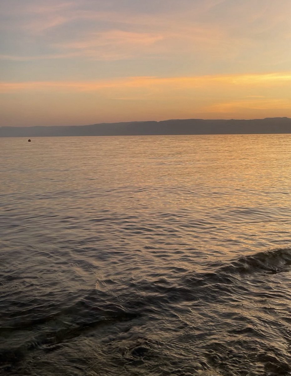 مهند 🧠 tweet media