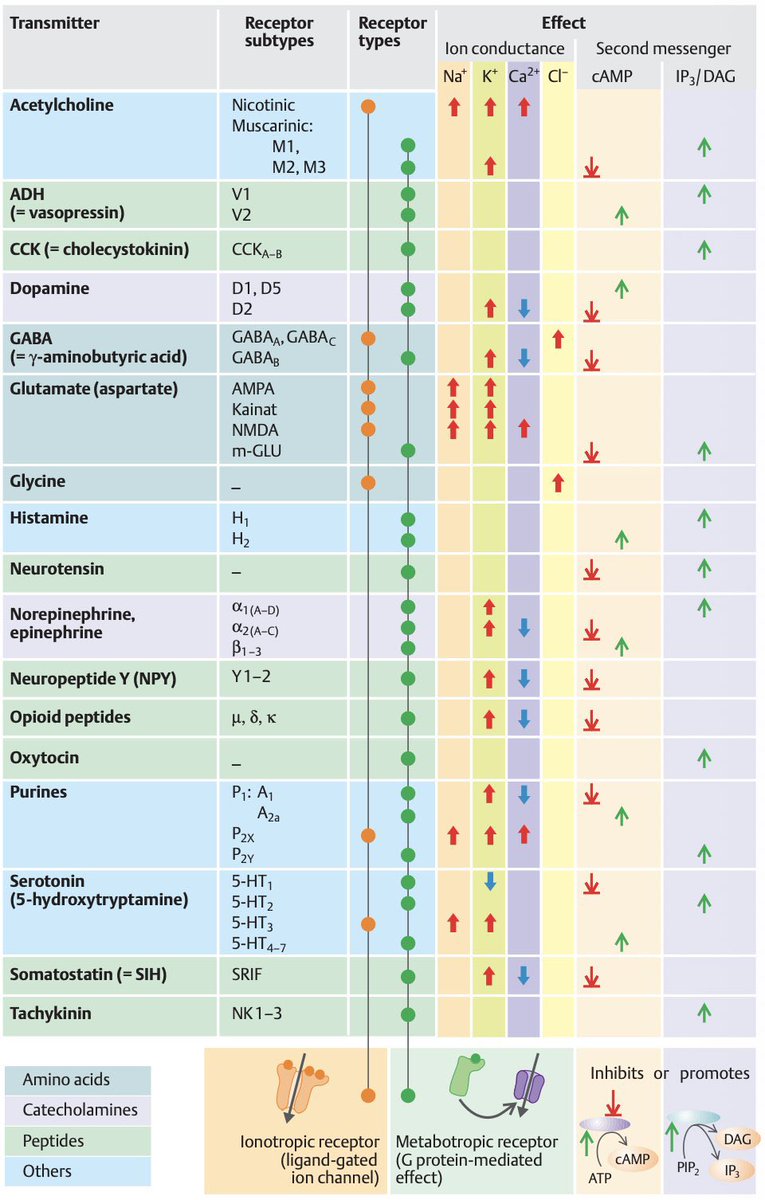 Oren Gottfried, MD tweet media
