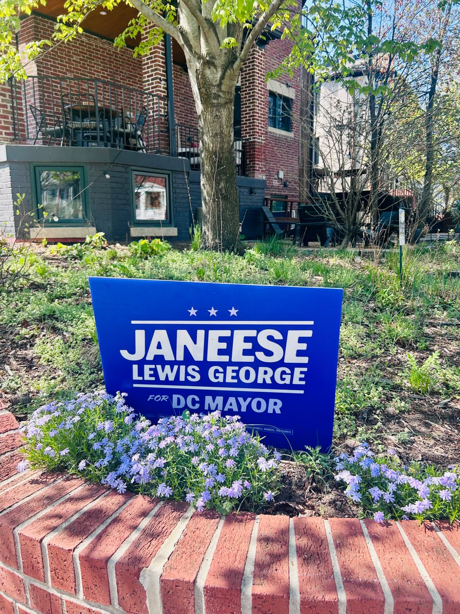 Rev. Brad Gallagher 🌳🏙 tweet media