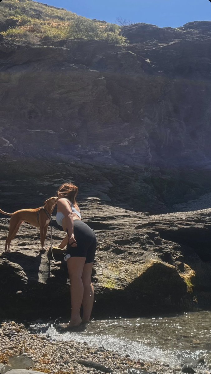 Violeta Latam tweet media