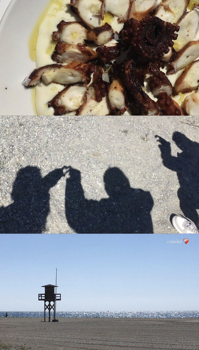 Violeta Latam tweet media