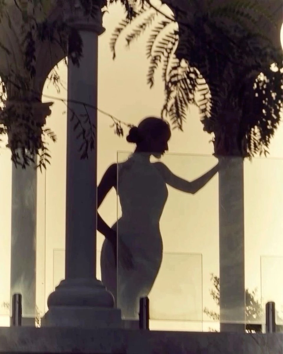 دُنيا tweet media