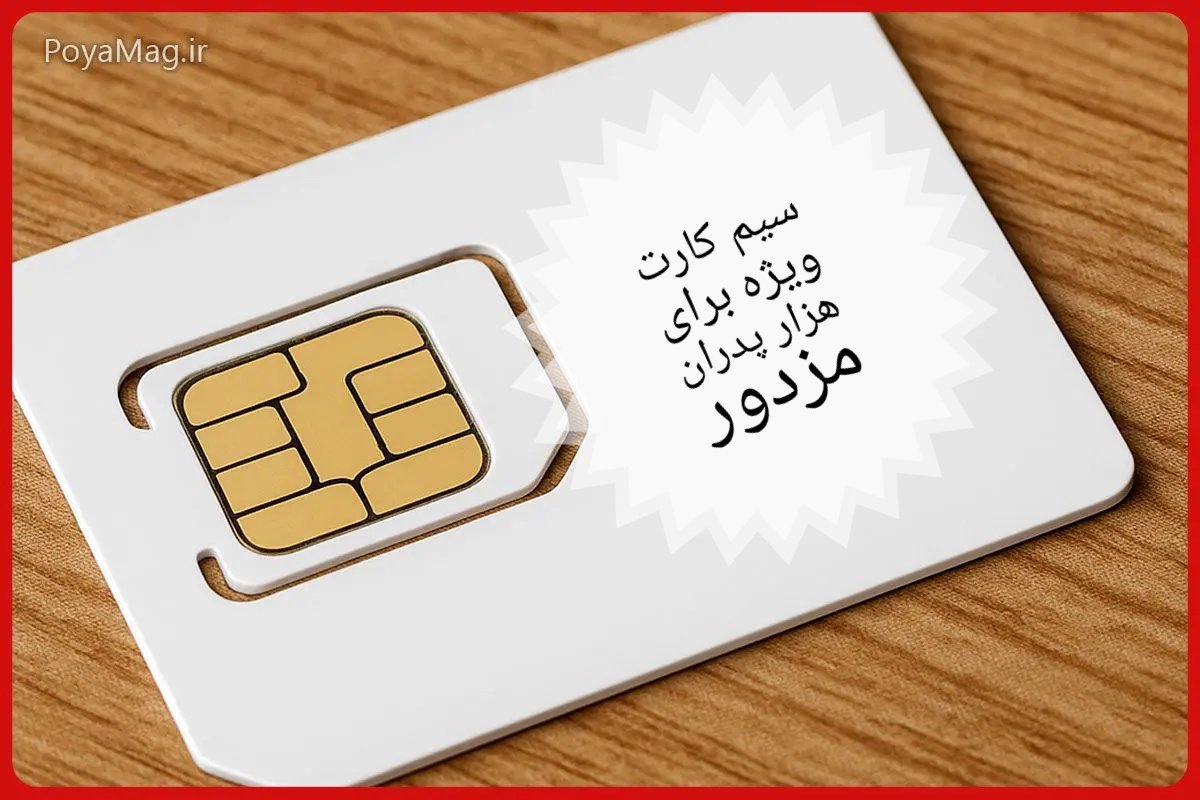 Tiger7Sun tweet media