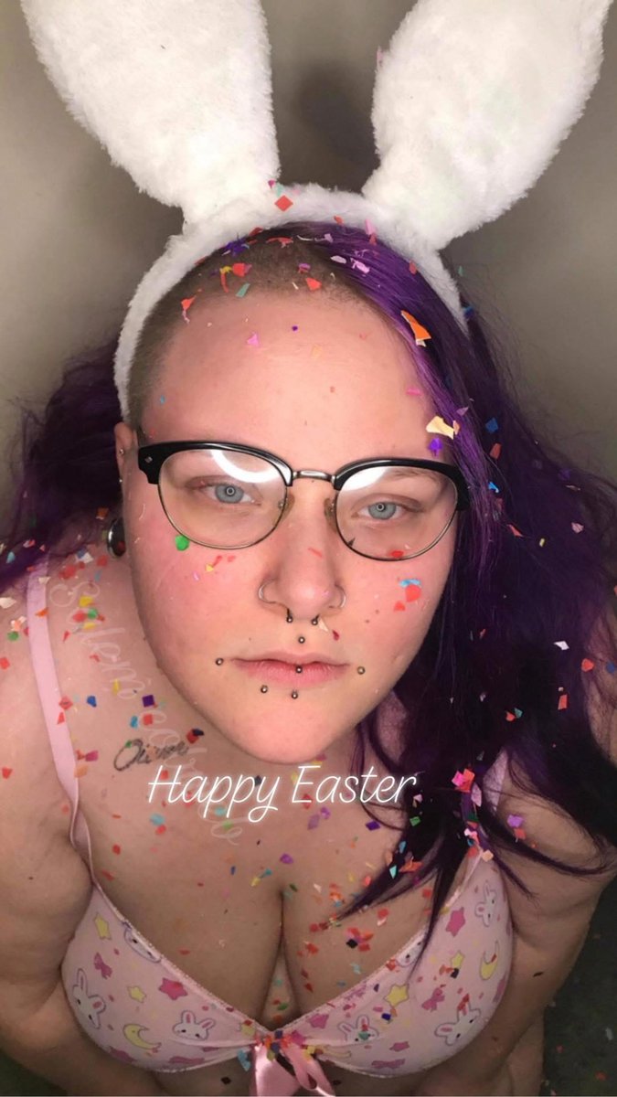 Bat cobweb tweet media