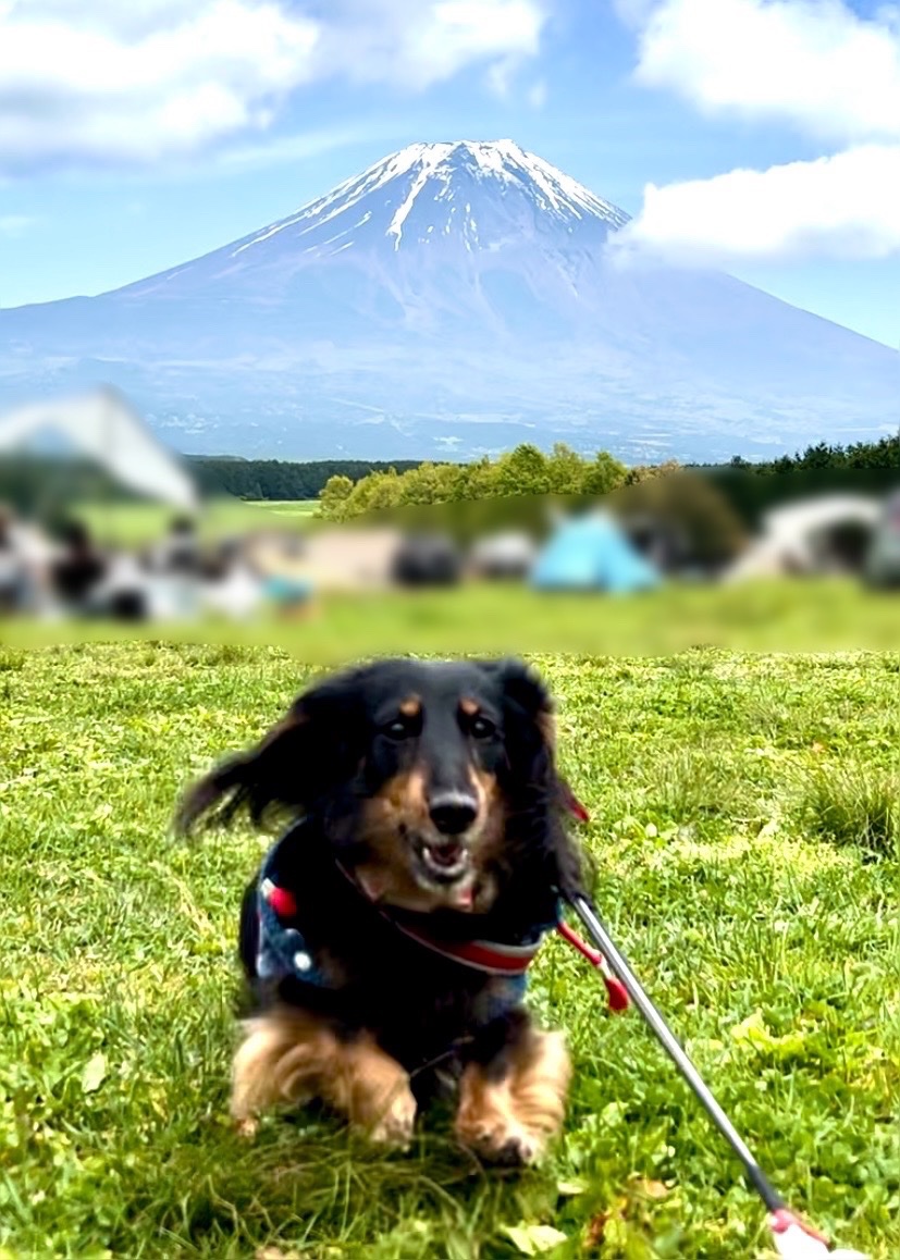 Smile.Fun.Life いしちゃん tweet media