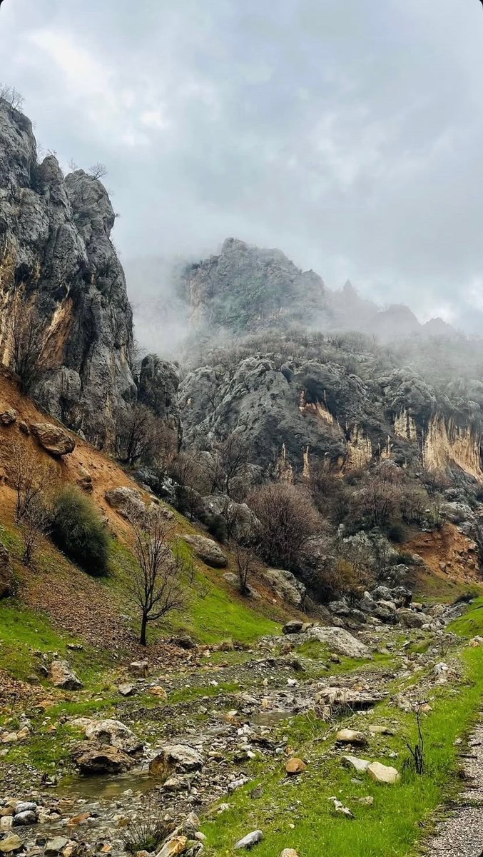 Shîll 🌻 tweet media