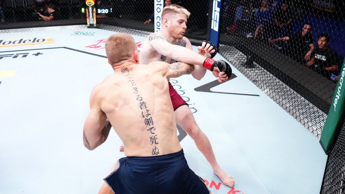 Blomdogg 🇨🇦 🇳🇱 tweet media