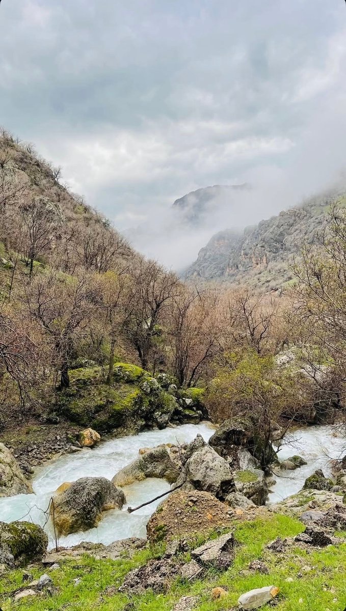 Shîll 🌻 tweet media