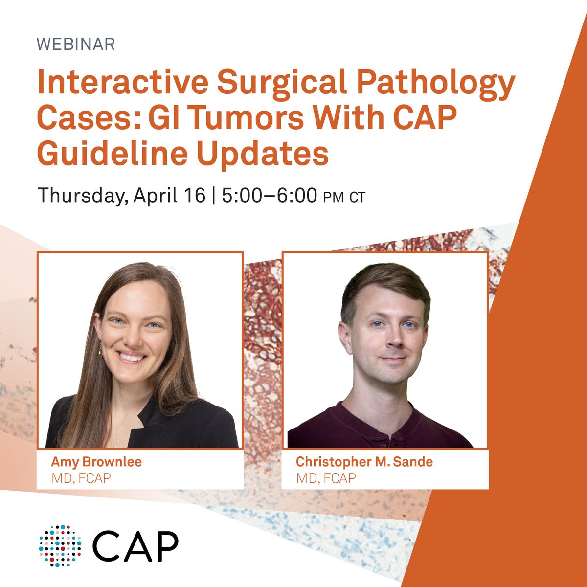 Pathologists's tweet photo. Love hands-on learning? This webinar puts you right into real diagnostic scenarios. Work through digitally-scanned slides, submit your interpretations, and hear directly from faculty experts. Don’t miss this opportunity to strengthen your practical skills! https://t.co/3E8NOa8AiD https://t.co/jKoiXRXa28