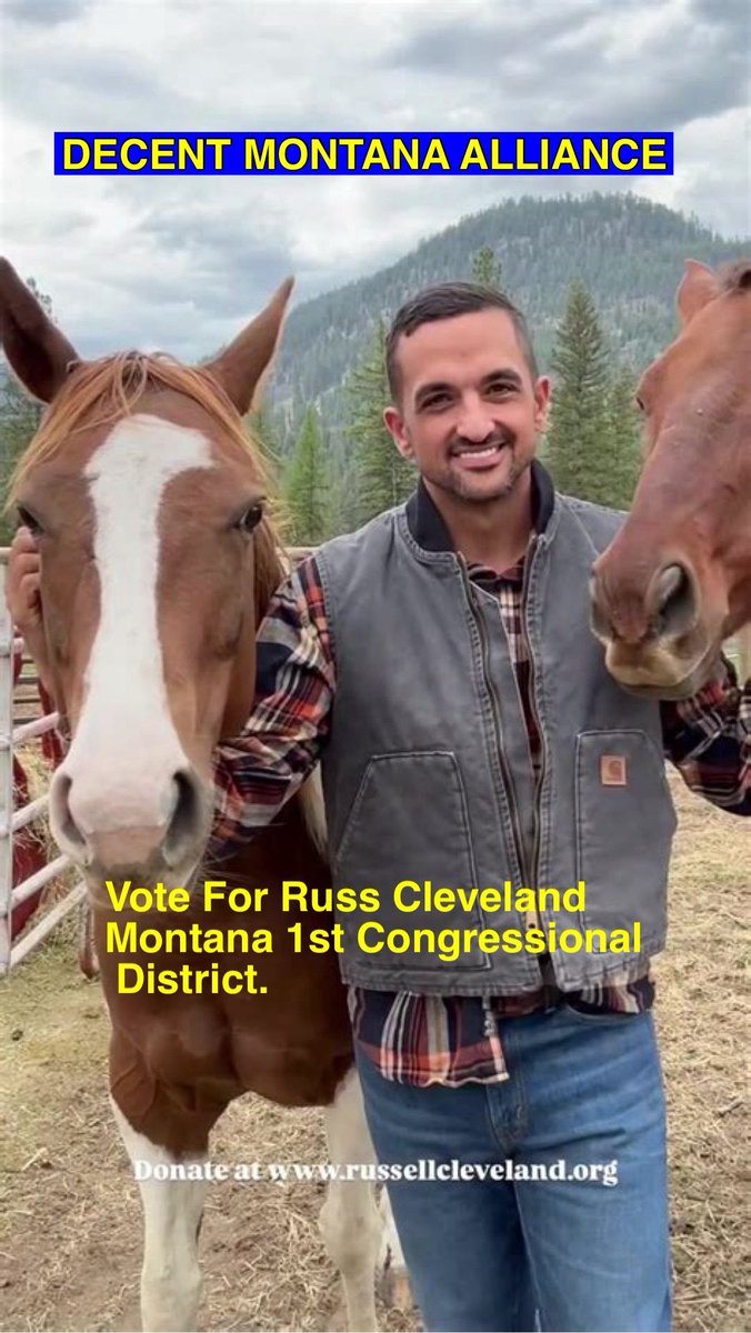 problembear tweet media